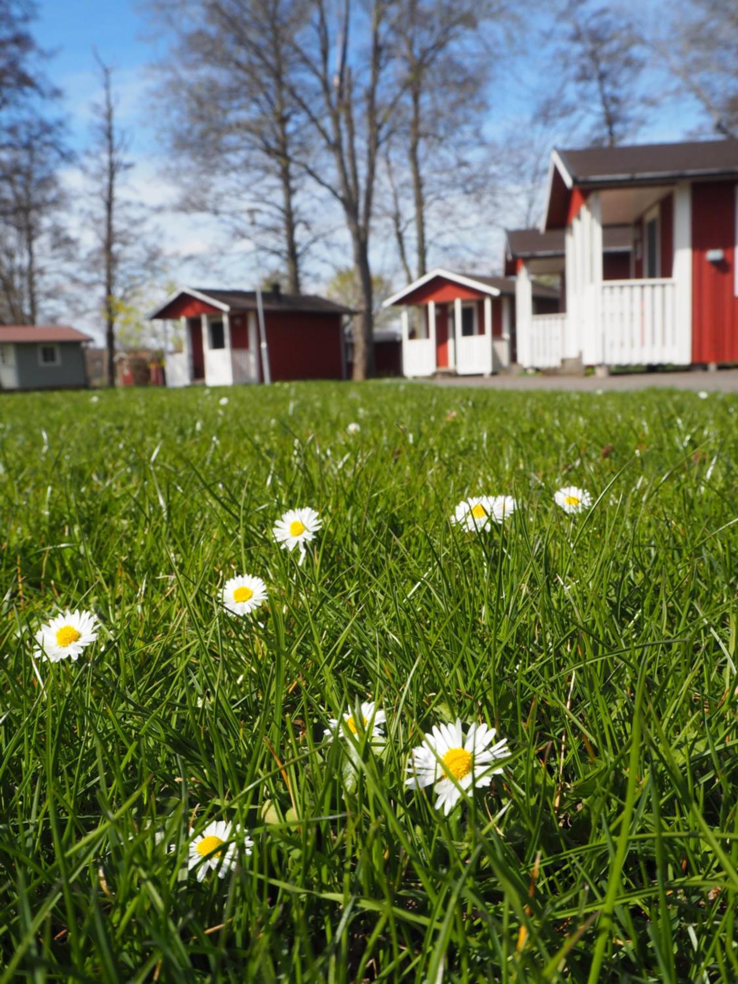 Skara Stads-Camping & Stugby Exteriör bild